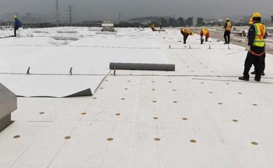 實力見證!57萬㎡TOP柔性屋面特種材料供應商!