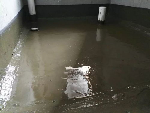 水深不語,人穩不言 深刻